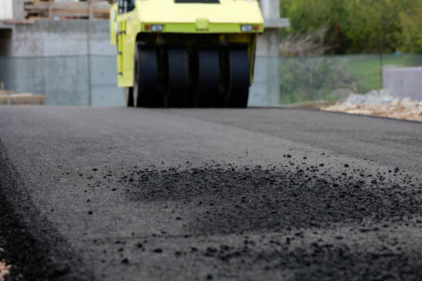 Best Driveway Repair Near Me  in Mount Morris, MI