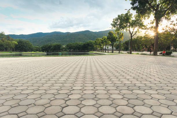 Best Driveway Pavers Installation  in Mount Morris, MI