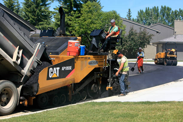 Best Local Driveway Pavers  in Mount Morris, MI