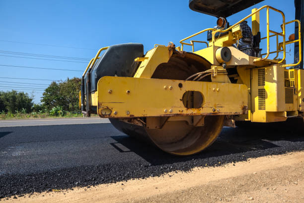 Best Custom Driveway Pavers  in Mount Morris, MI